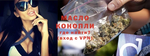 дмт Пестово