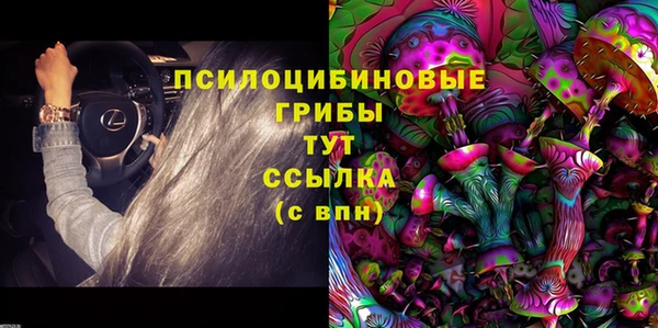 скорость Пересвет