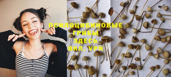 скорость Пересвет