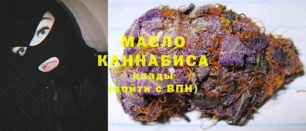 дмт Пестово