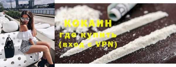 дмт Пестово