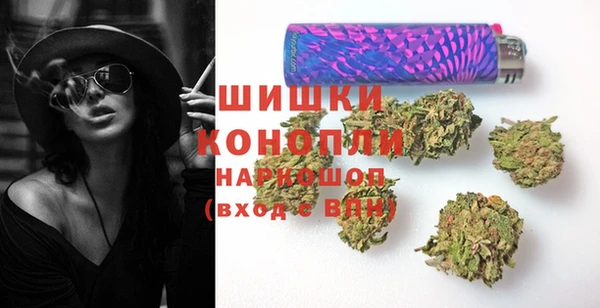 дмт Пестово
