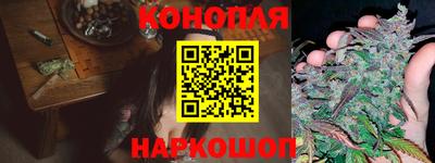 сатива Бийск