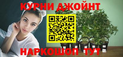 a pvp Берёзовский