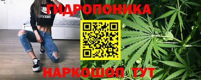 ECSTASY Заводоуковск