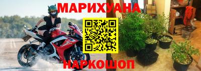 сатива Бийск