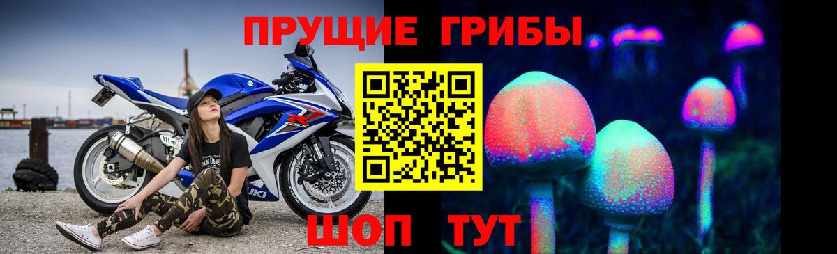 Сафоново  Галлюциногенные грибы мицелий  Вход с VPN 